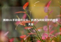 揭秘LOL手游插件论坛，机遇与风险交织的虚拟天地