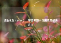 绝地求生（PUBG），等待界面卡住困境及解决办法