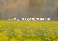 Steam平台，双人协作的欢乐游戏之旅