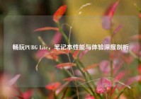 畅玩PUBG Lite，笔记本性能与体验深度剖析