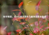 和平精英，充60元能否获永久服饰及套装盘点