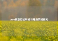 CSGO勋章经验解析与升级策略探究