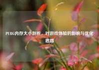 PUBG内存大小剖析，对游戏体验的影响与优化思路