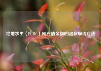 绝地求生（PUBG）刚充值金额的退款申请     