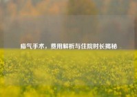 疝气手术，费用解析与住院时长揭秘