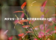 两岁宝宝一日三餐，开启健康美味成长之旅