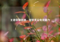 王者荣耀直播，绽放多元电竞魅力