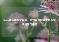 Steam推送功能全解析，高效管理游戏更新与资讯的实用指南