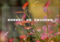 脸颊两侧黑片，成因、影响及应对策略