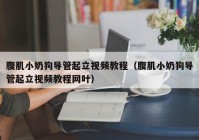 腹肌小奶狗导管起立视频教程（腹肌小奶狗导管起立视频教程网叶）