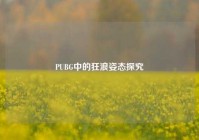 PUBG中的狂浪姿态探究