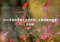 PUBG手游游客模式开启教程，无需注册快速体验游戏