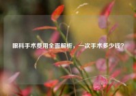 眼科手术费用全面解析，一次手术多少钱？