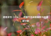 绝地求生（PUBG），扔雷方式深度解析与快捷键介绍