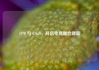STM 与 CSGO，开启电竞融合新篇