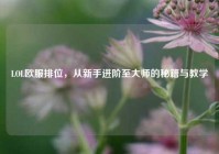 LOL欧服排位，从新手进阶至***的秘籍与教学