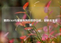 她的CSGO与猫猫狗狗的奇妙日常，好听名字大赏