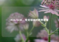PUBG与CDL，电竞领域的跨界碰撞