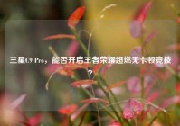 三星C9 Pro，能否开启王者荣耀超燃无卡顿竞技？