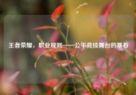 王者荣耀，职业规则——公平竞技舞台的基石