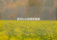 我与PUBG的奇妙旅程