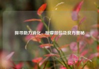 探寻助力消化，     部位及良方奥秘