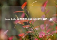 Steam Raid，游戏库突袭背后的数字消费狂欢