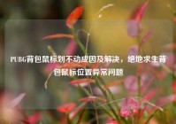 PUBG背包鼠标划不动成因及解决，绝地求生背包鼠标位置异常问题