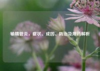输精管炎，症状、成因、防治及用药解析
