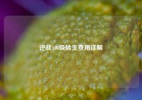 逆战100级转生费用详解