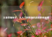 王者荣耀射手，从入门到精通的进阶教程视频