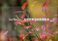 XIAZ与Steam，游戏世界中的独特联系