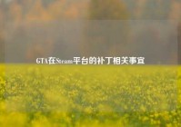 GTA在Steam平台的补丁相关事宜