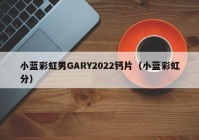 小蓝彩虹男GARY2022钙片（小蓝彩虹分）