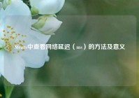 Steam中查看     延迟（ms）的     及意义