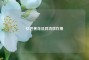 忆芭蕉花及其功效作用