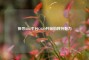 探寻8868平台CSGO开箱的独特魅力