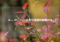 SK vs. SPY，CS:GO战术与***的巅峰对决