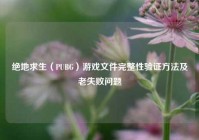 绝地求生（PUBG）游戏文件完整性验证方法及老失败问题