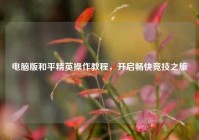 电脑版和平精英操作教程，开启畅快竞技之旅