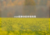 CSGO世界中的华哥传奇