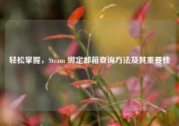 轻松掌握，Steam 绑定邮箱查询     及其重要性