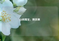 山间瑰宝，刺玫果