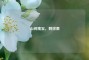 山间瑰宝，刺玫果