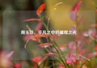 周玉珍，平凡之中的璀璨之光