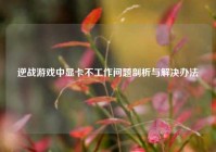 逆战游戏中显卡不工作问题剖析与解决办法