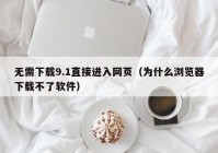 无需下载9.1直接进入网页（为什么浏览器下载不了软件）