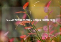 Steam游戏传输全攻略，轻松实现数据传递