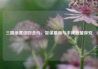 三国杀贾诩回合内，智谋展现与手牌数量探究