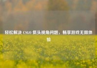 轻松解决 CSGO 低头视角问题，畅享游戏无阻体验